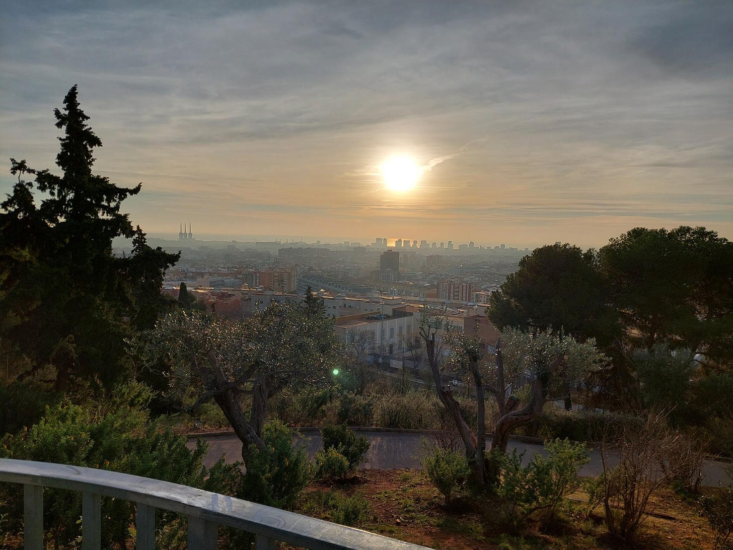 Barcelona looking lovely one January morning, as seen from a hill top in Horta.