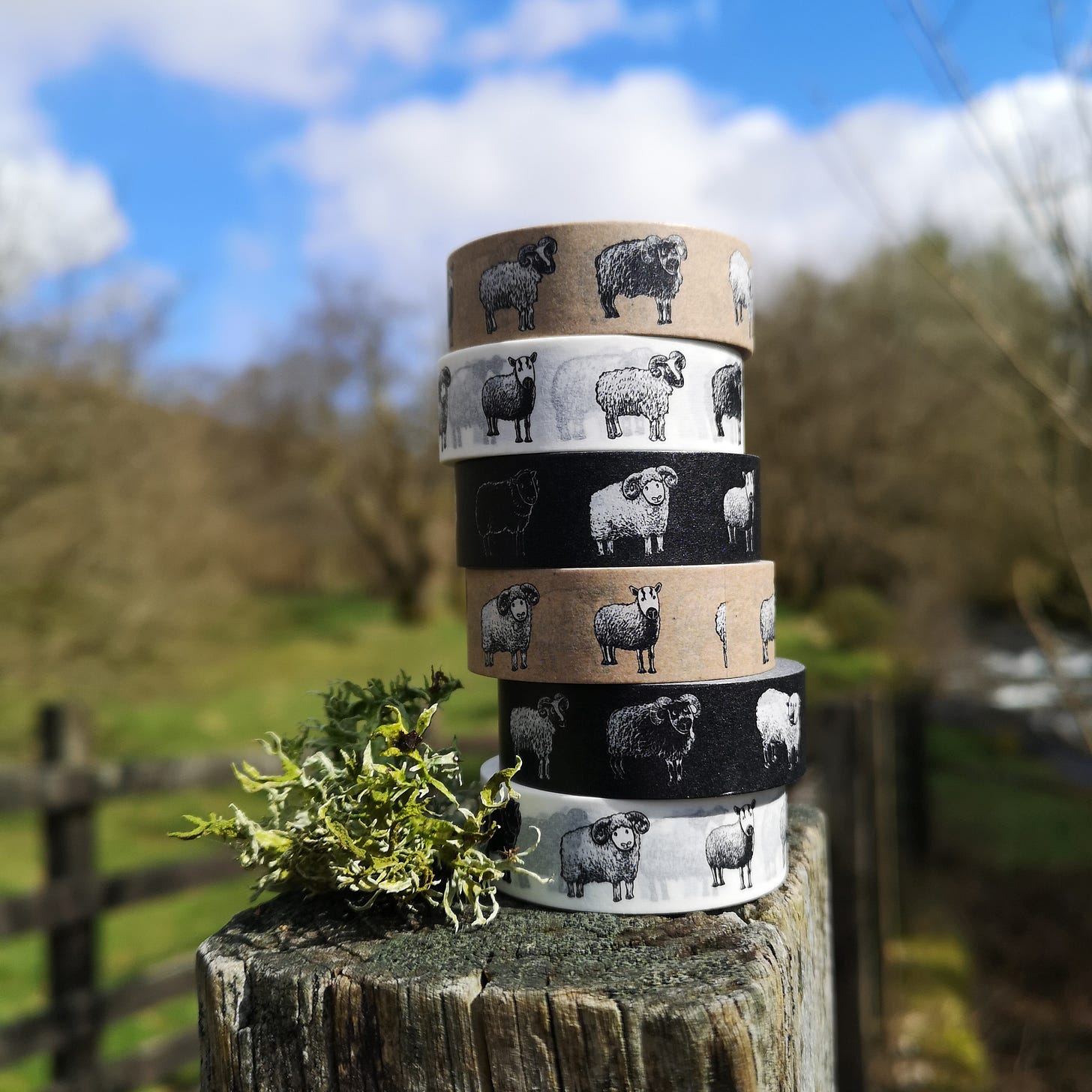 Image description: a tower of washi tape rolls stacked on top of a fence post, with a piece of green lichen next to them and bright blue sky and fluffy white clouds behind. The washi tape rolls depict a variety of sheep, including in this photo: Shetland, Dorset Horn, Torddu Badger Face and Boreray. The tapes have different background colours, from the bottom of the stack they go white, black, brown, black, white, brown.