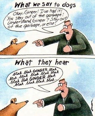 What we say to dogs, and what they hear. Thanks Gary Larson : r/comics