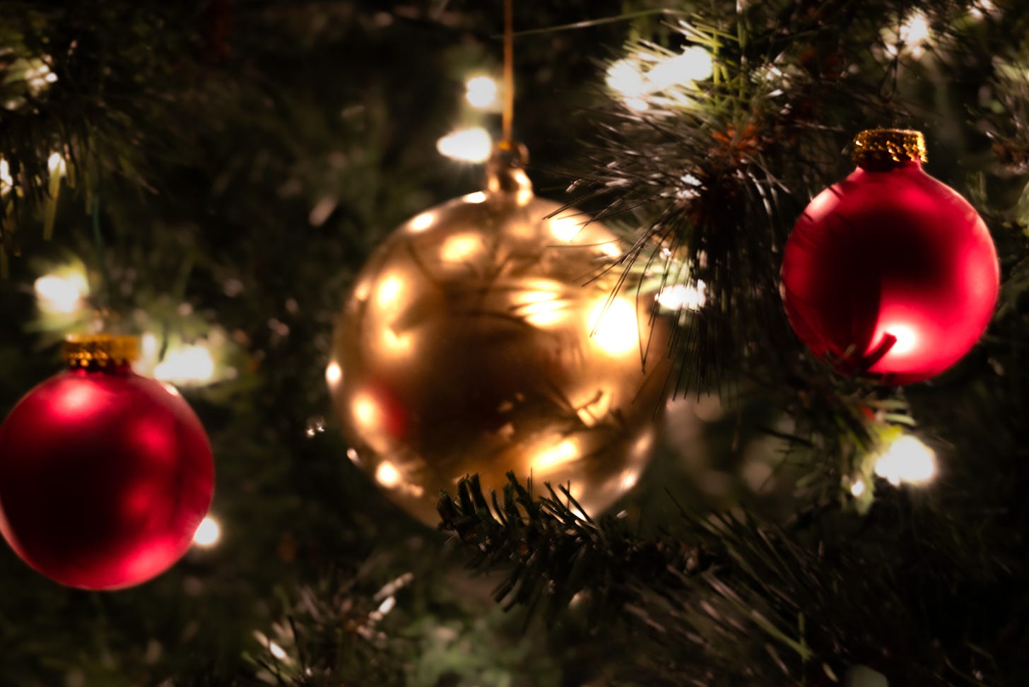 A close-up of a single gold ball ornament on a Christmas tree with a red ball on the right and left, small white lights on the tree sarkle in the background