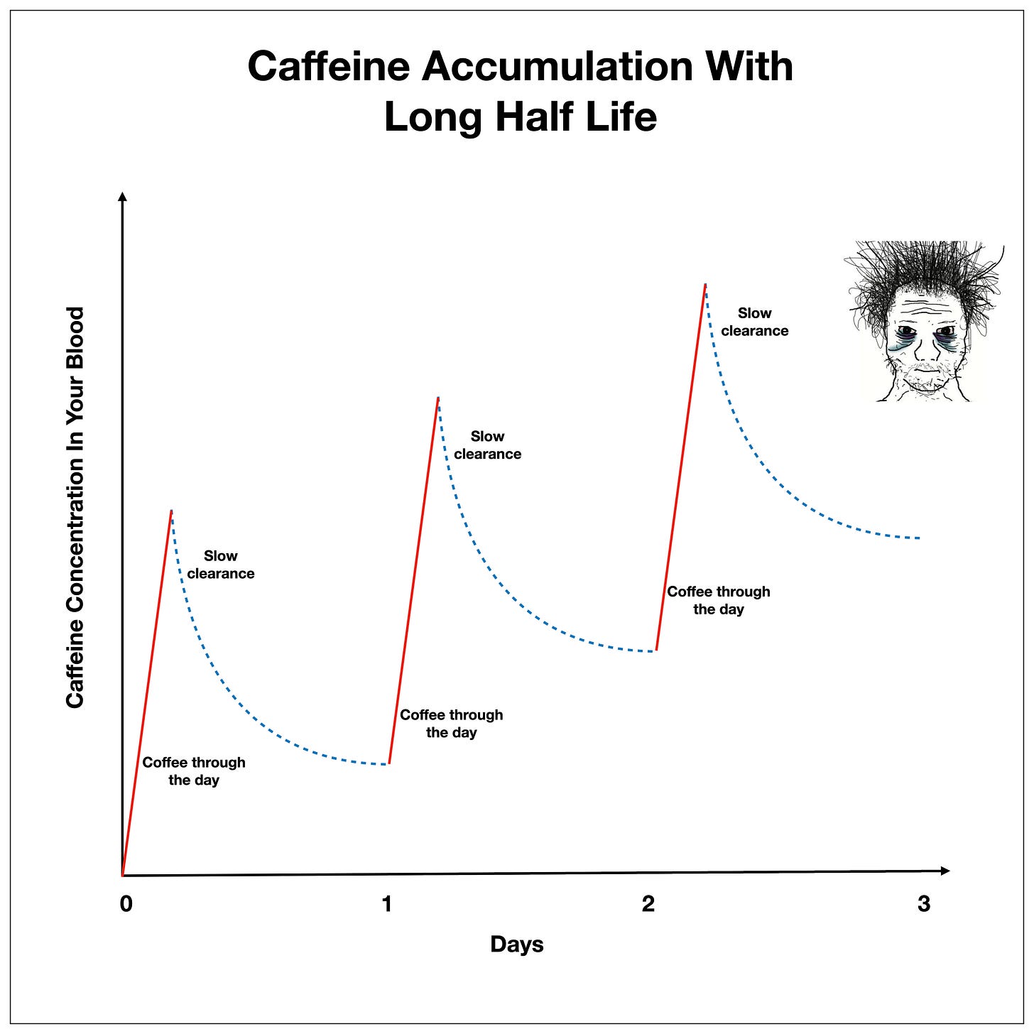 graph showing caffeine accumulation with long half life