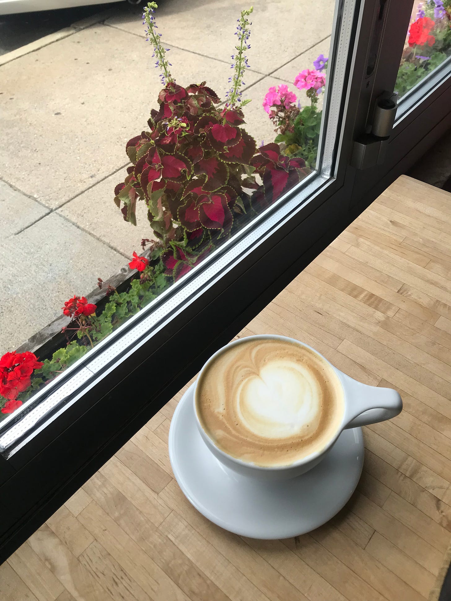 A latte sits on a wooden table beside a coffee-shop window. Outdoors is a sidewalk and a flowerbox containing red and pink flowers.