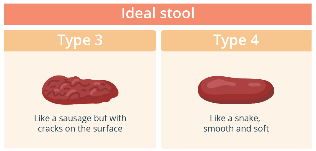 Illustration of types of poo's that care soft and easy to pass.