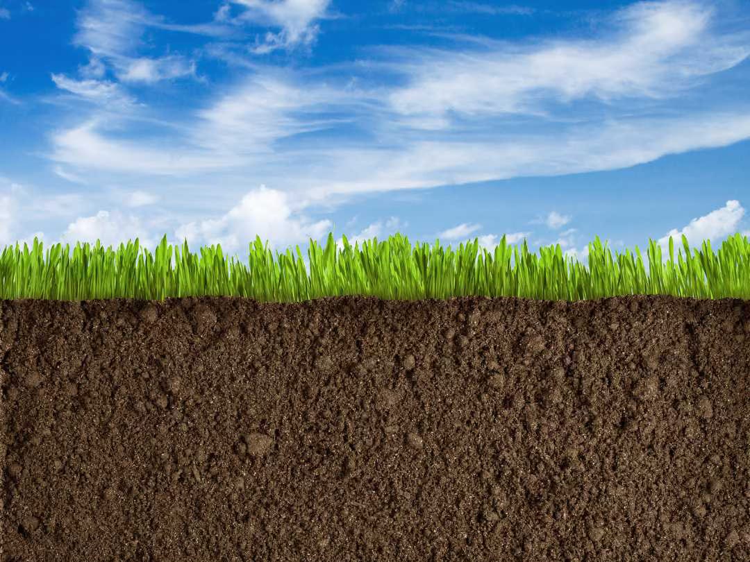 A photo of earth and sky. Blue sky above, deep soil below, and growing grass in the middle.