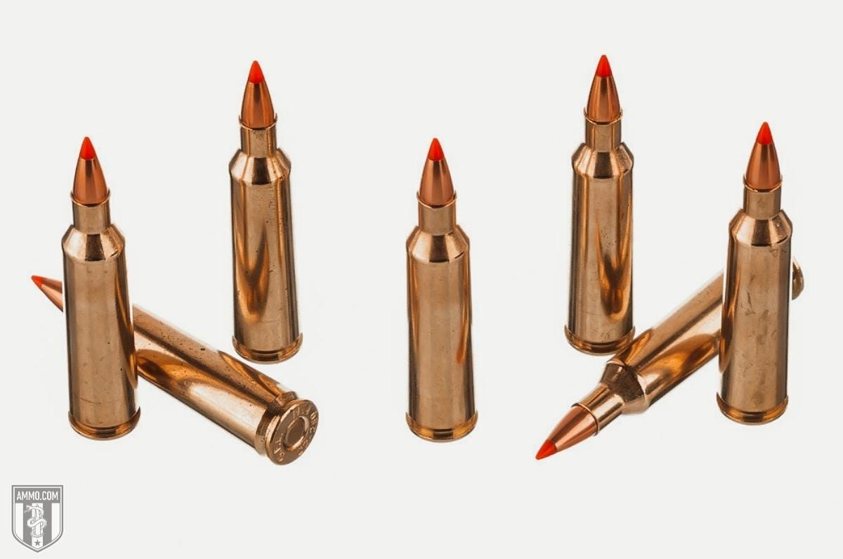 shop 22-250 ammo