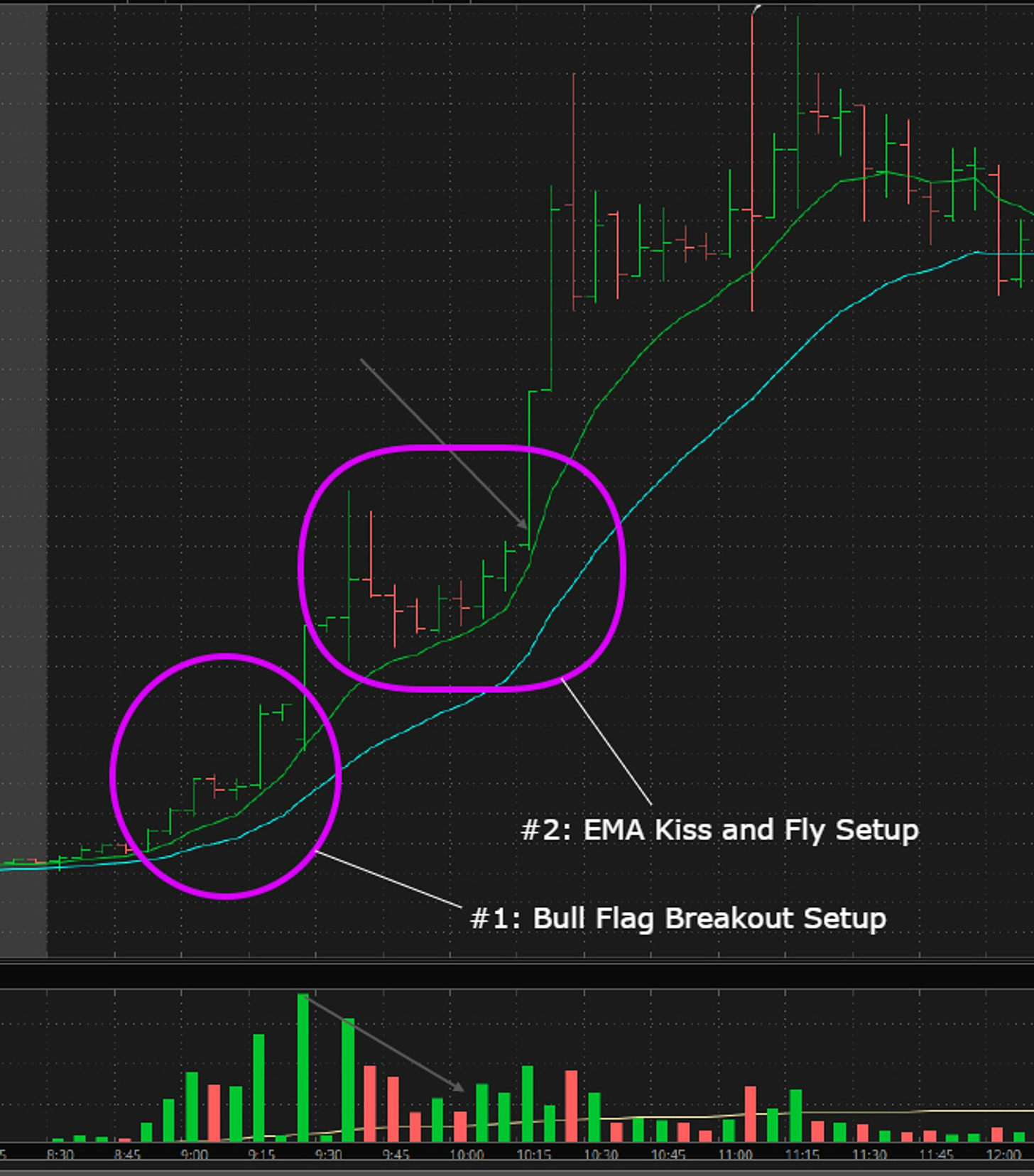 $LIFW - Multi Setup