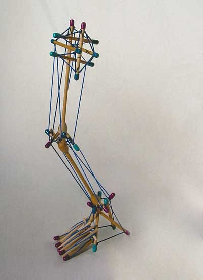 Introduction to Biotensegrity – BeingHuman