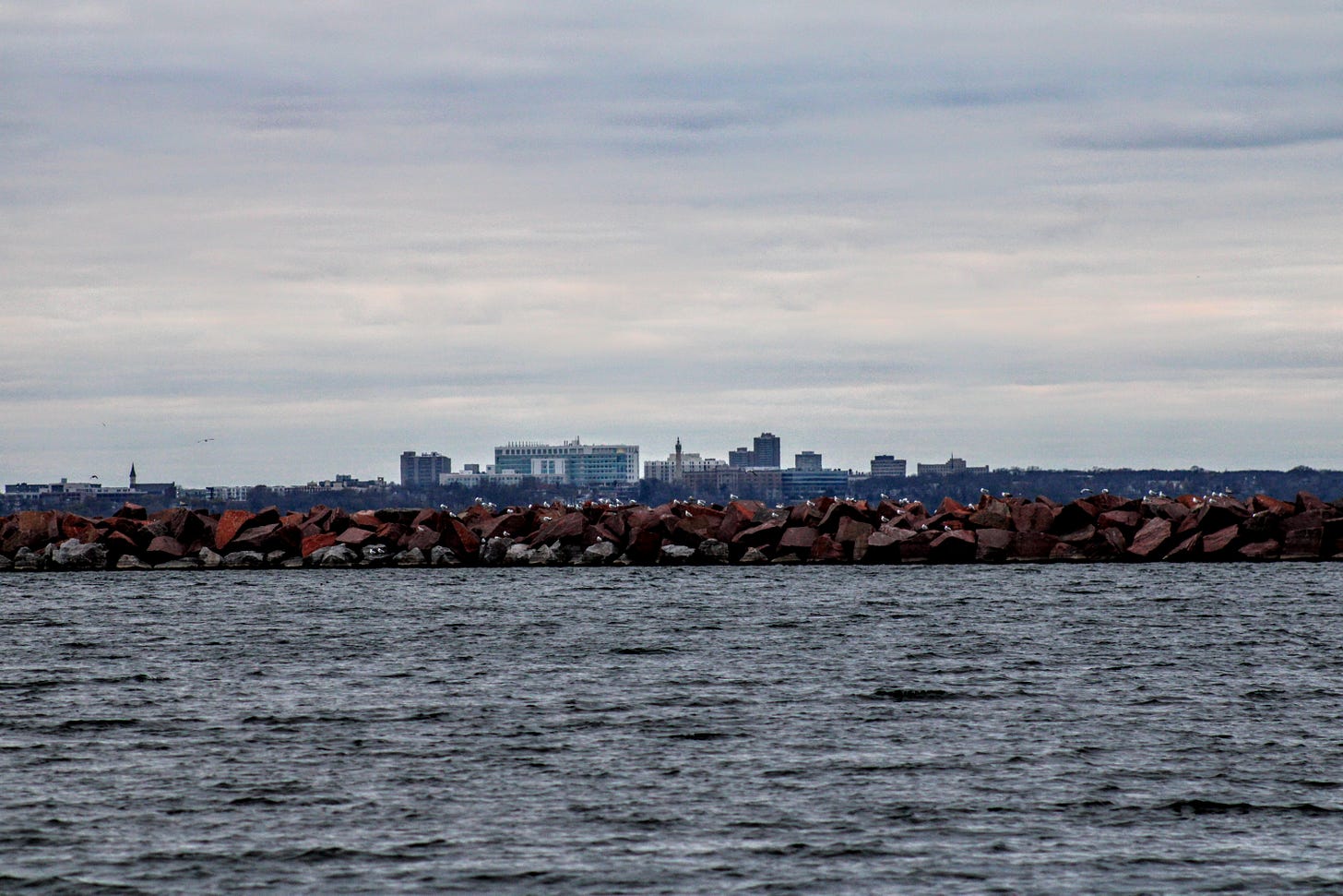 A photograph with Lake Michigan in the foreground. In the midground is a reddish rock breaker with many seagulls perched on the rocks. In the distance is Milwaukee, Wisconsin.