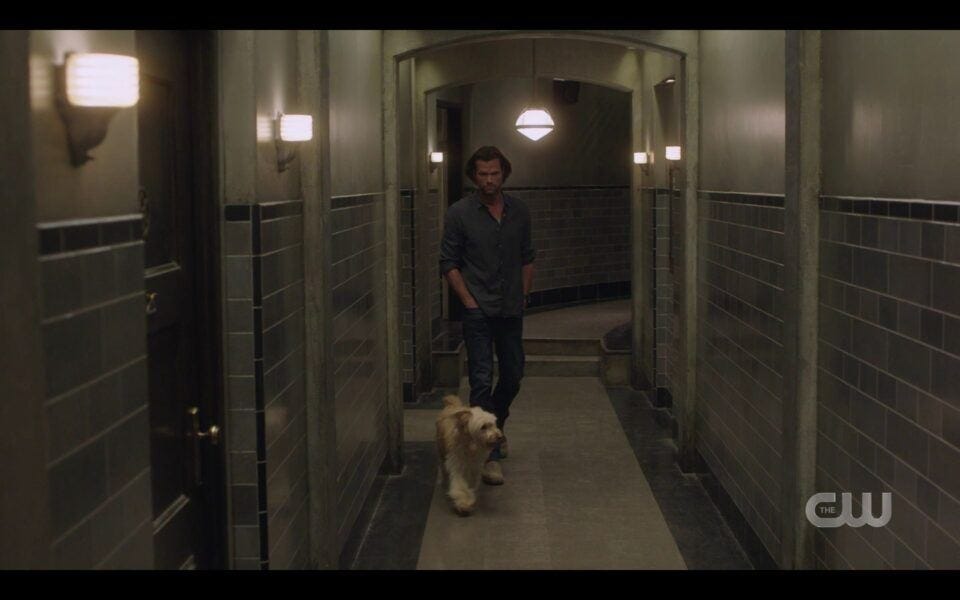 SPN Sam Winchester walking with Miracle down halls of bunker