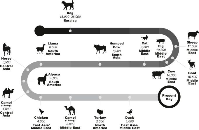 Domestic Animal - an overview | ScienceDirect Topics