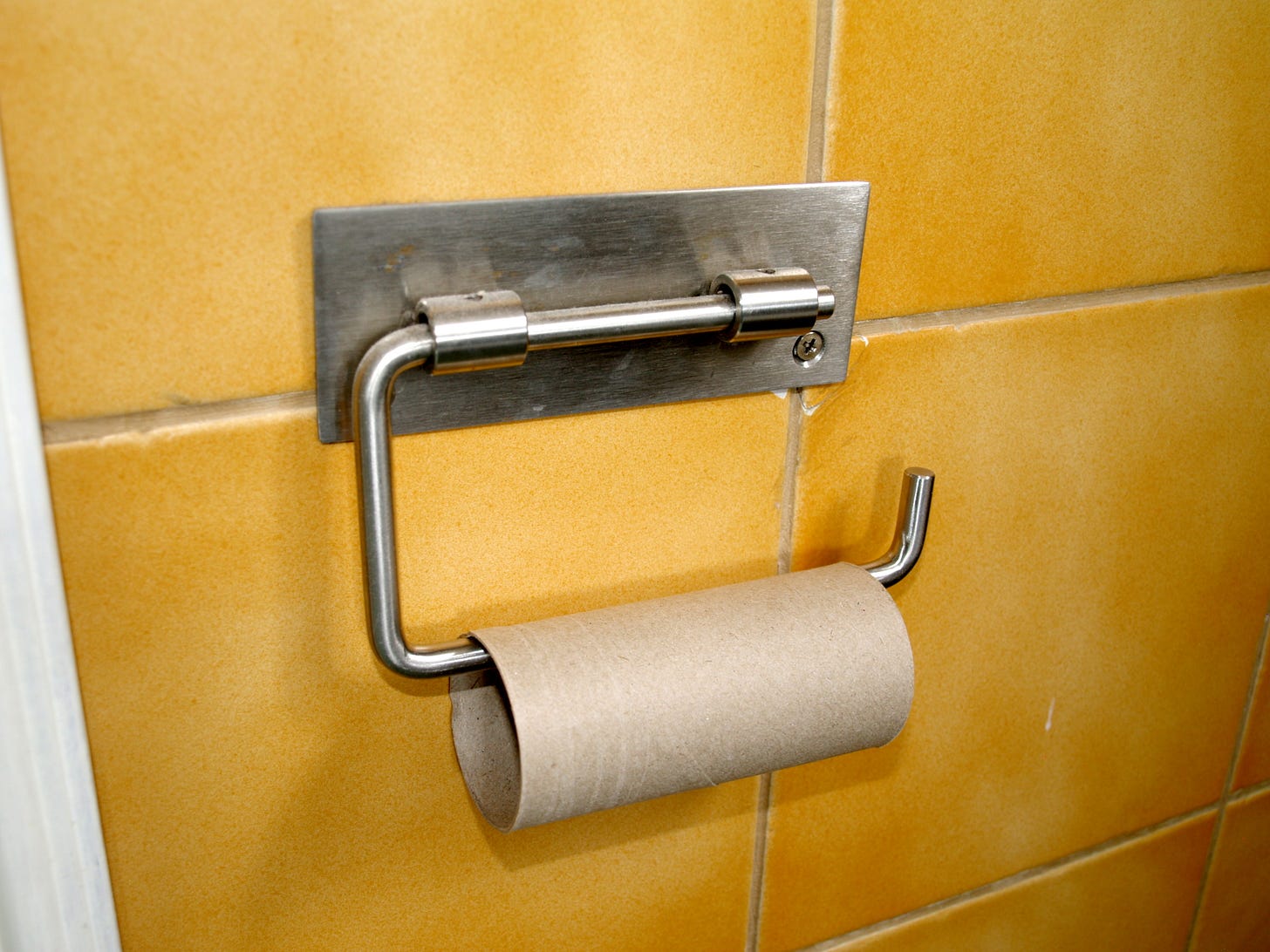 An empty toilet paper roll hanging on a holder on a tiled wall