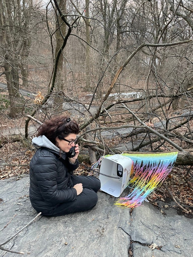 Wind Phone at the top of a boulder in central park