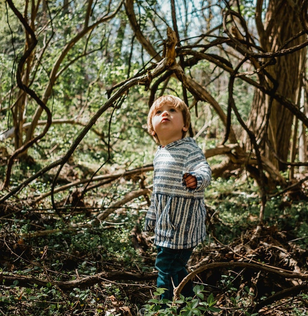 shallow focus photography of boy