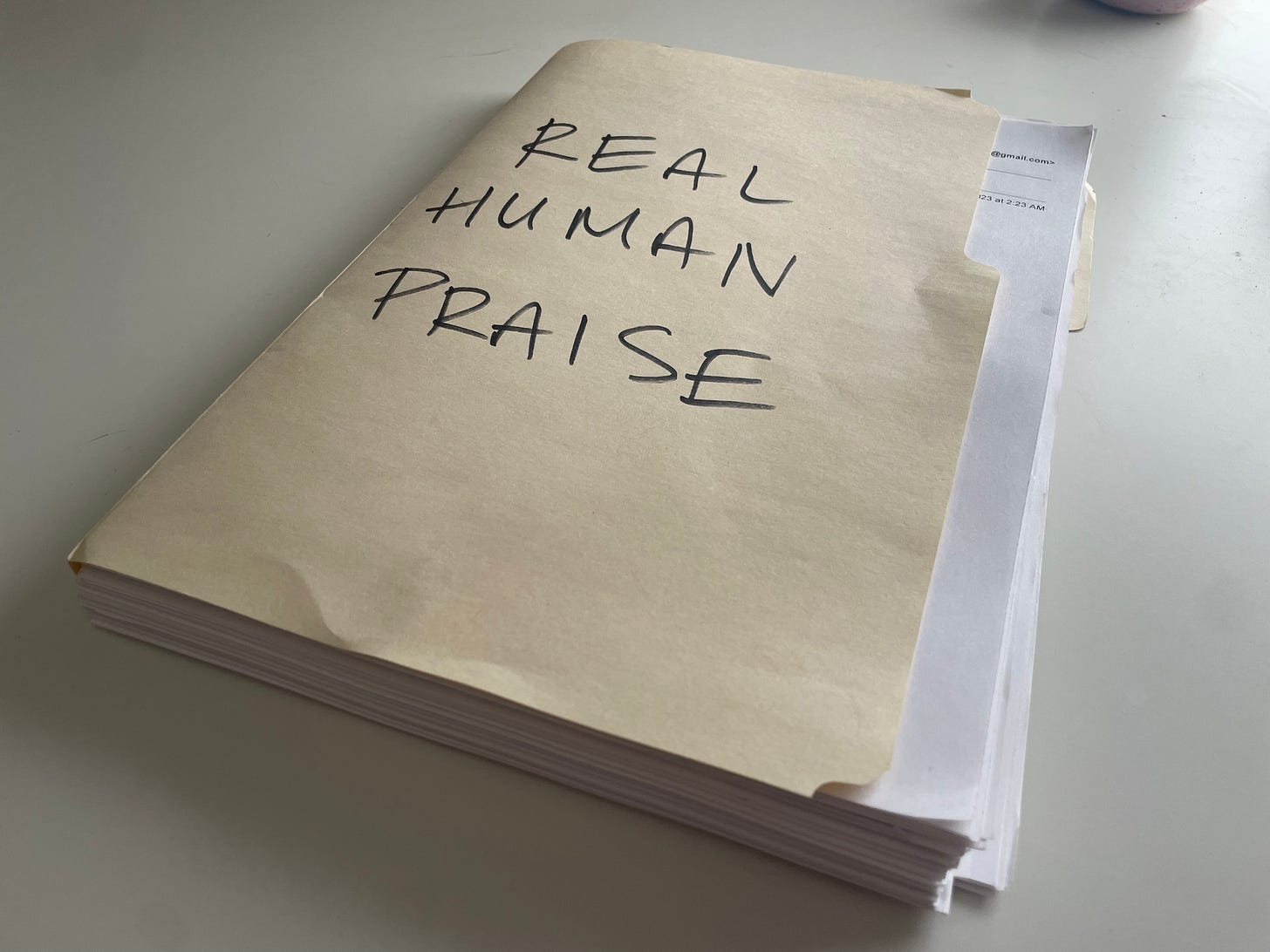 Manilla folder with the phrase "Real Human Praise" written across the front