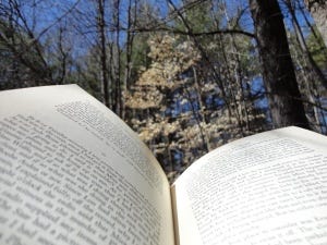 Book in the Woods