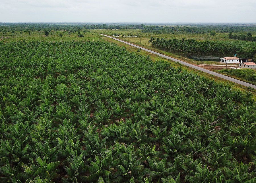 Ronaldo Rosa - O zoneamento permite quantificar os riscos relacionados a problemas climáticos e identificar as melhores regiões e épocas para a produção