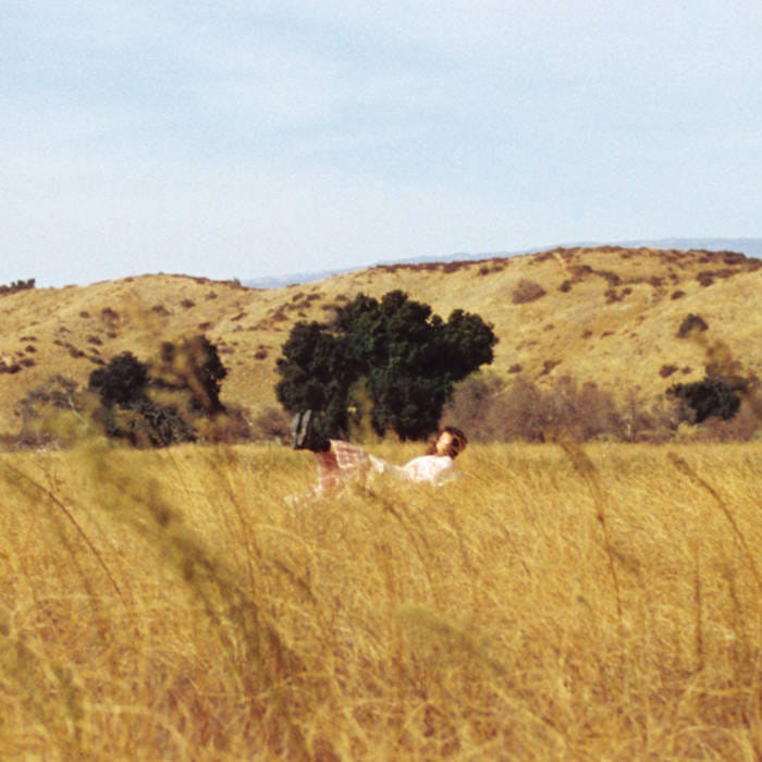 The Cart Before The Horse | Elizabeth A. Carver