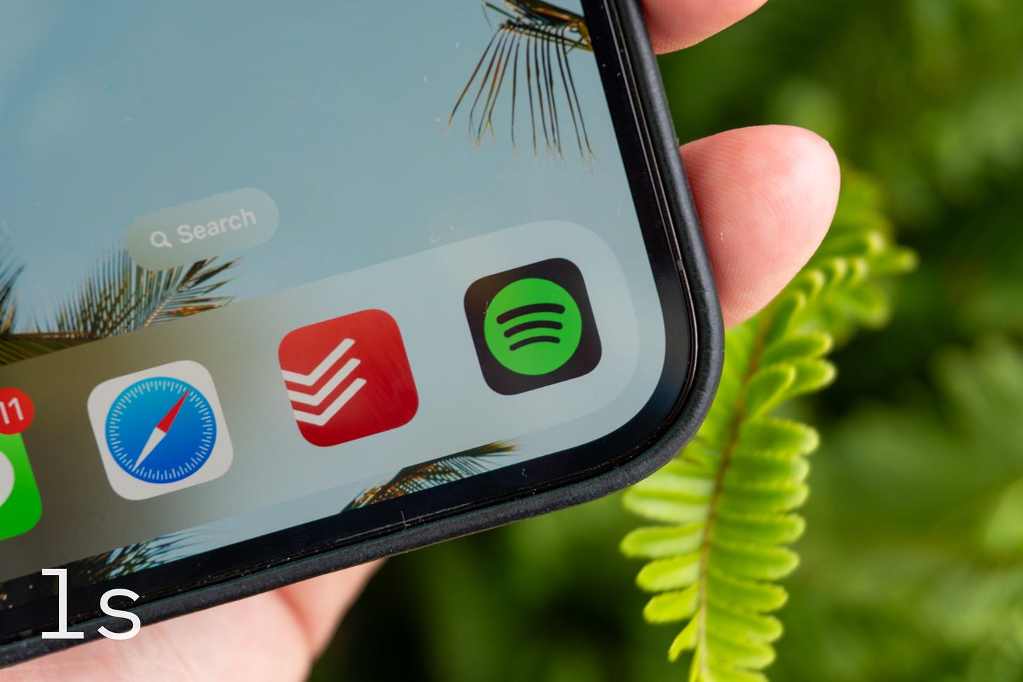 The Spotify icon on an iPhone against a green plant.