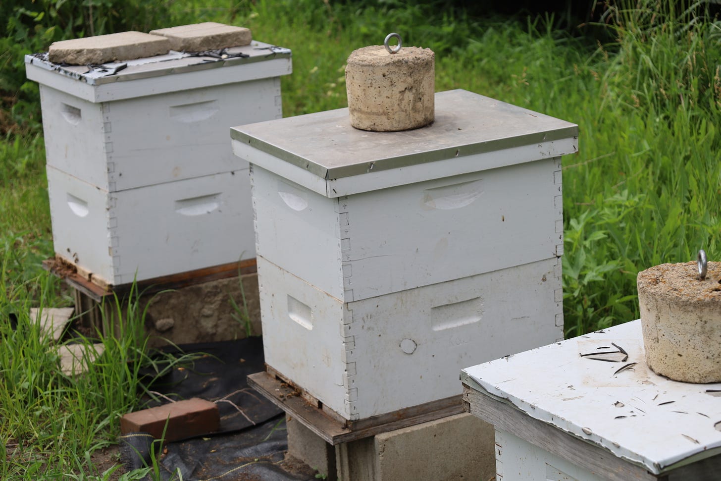 Bee hives at the Genuine Faux Farm