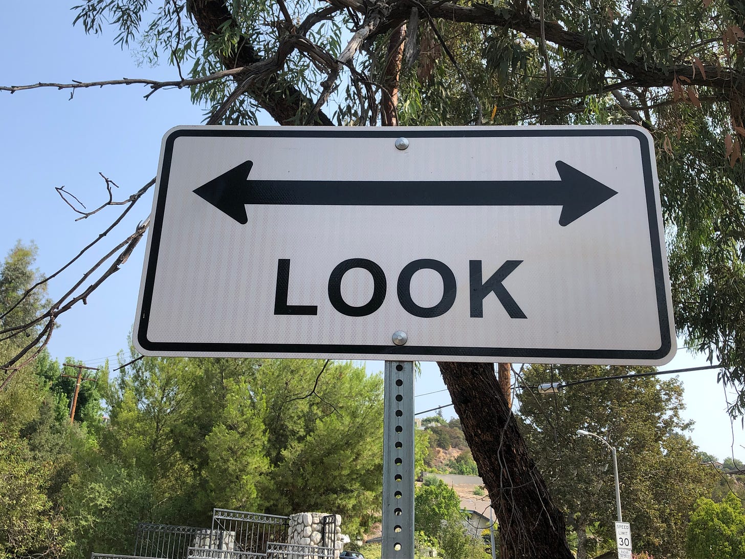 Street sign with an arrow on either end of a line and the word “Look.”