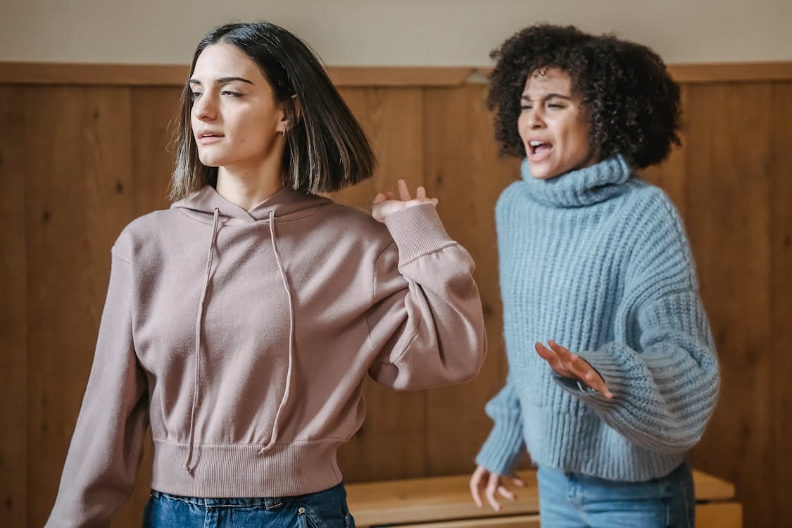 Free Mad African American female in warm sweater screaming at irritated female while having argument in light room with wooden walls Stock Photo