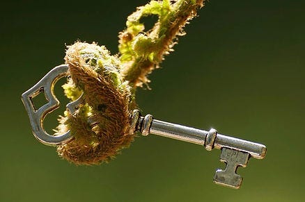 key wrapped in a vine