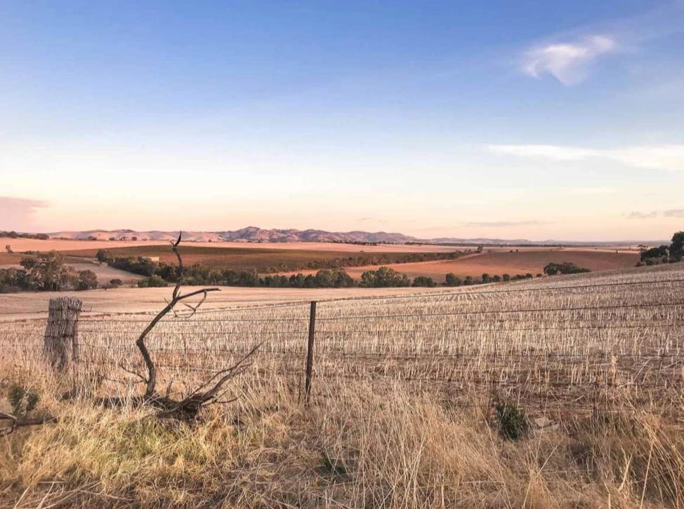 Barossa Valley landscape at sunset