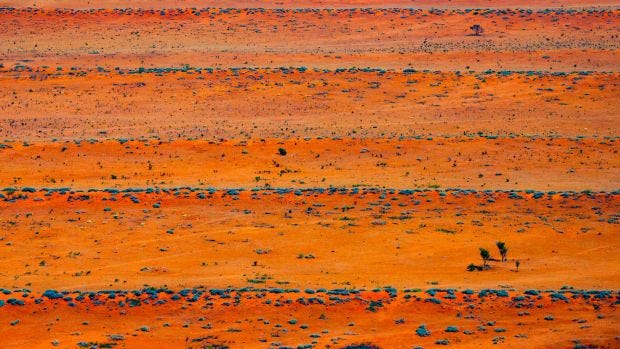 Image result for australian desert