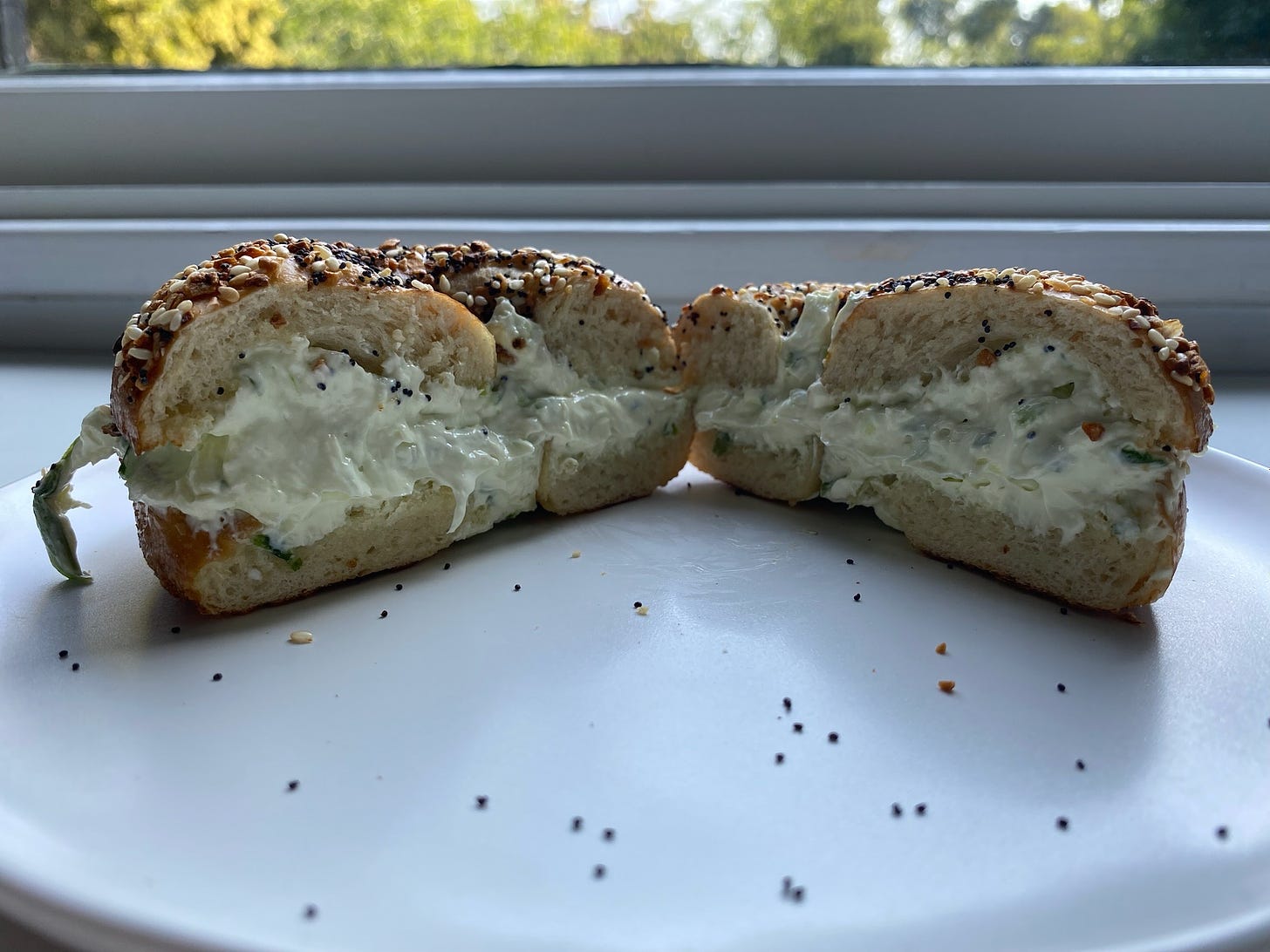 Westman's everything bagel with cream cheese cut open