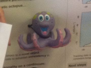 Plastic octopus attached to poster.