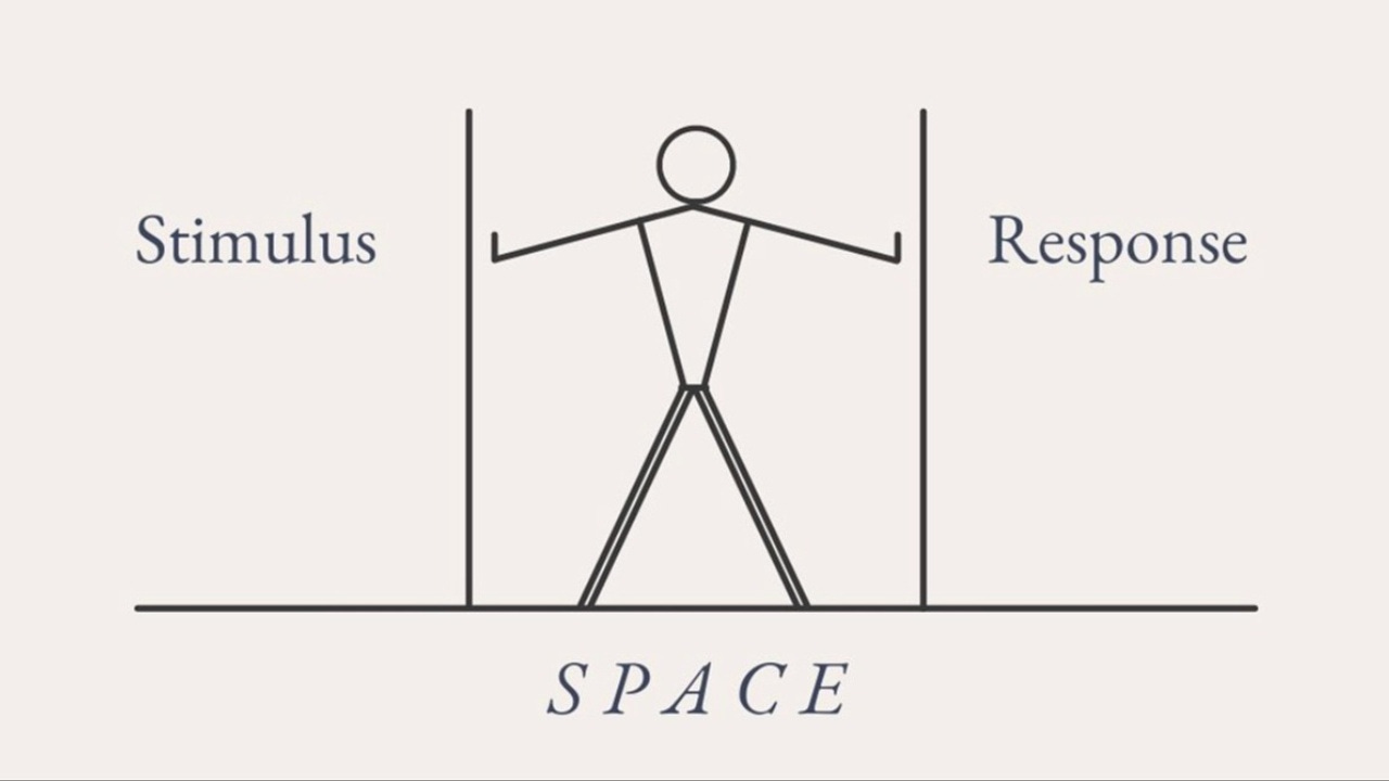 Between stimulus and response there is a space