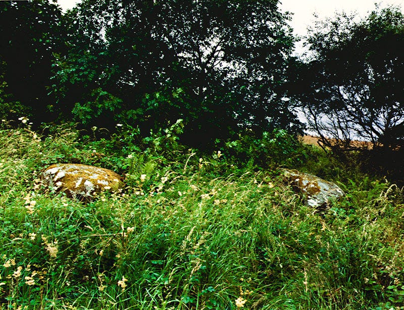 Stones buried near trees and the sea in the west of Ireland