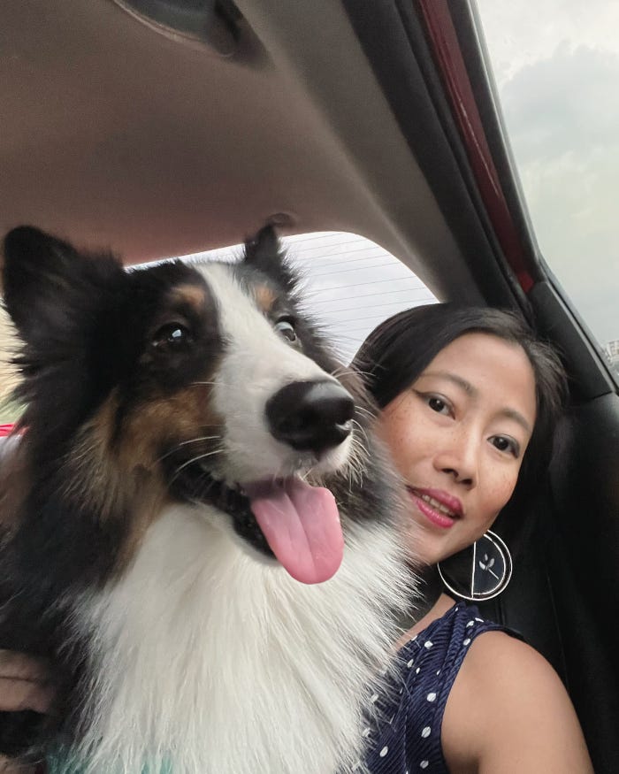 Me in a car with Talisker, my shetland sheepdog, as we go head off to visit a friend. He is smiling widely with his tongue hanging out.