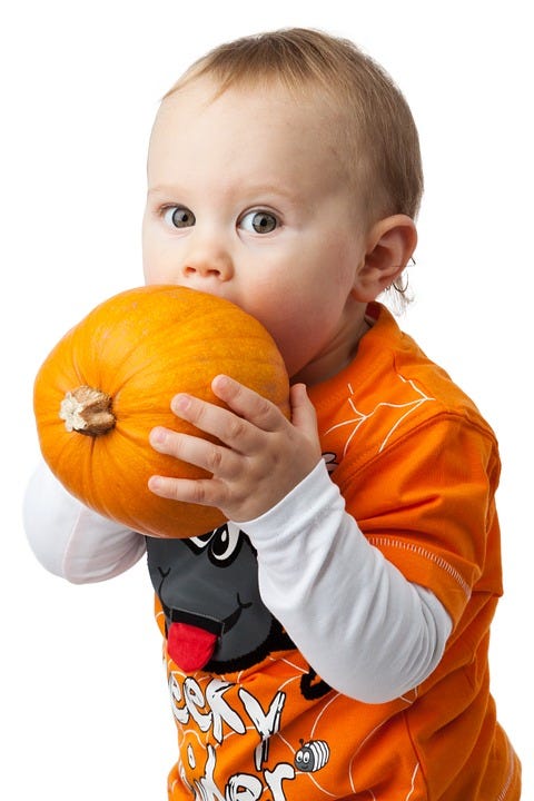 child biting into a pumpkin