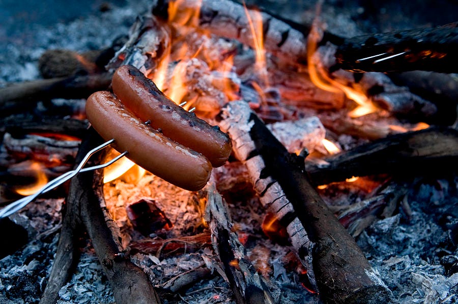 Cooking Hot Dogs Over A Campfire Photograph by Tim Laman