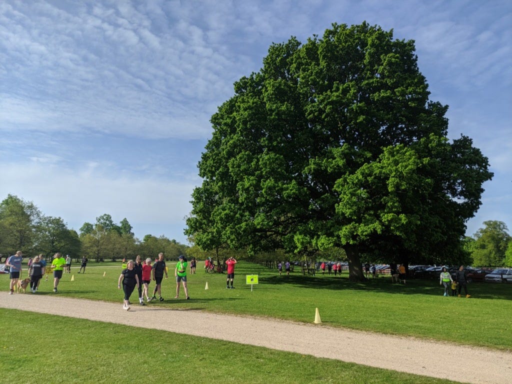 A large and bushy tree stands over the finish line, as people head back to their cars