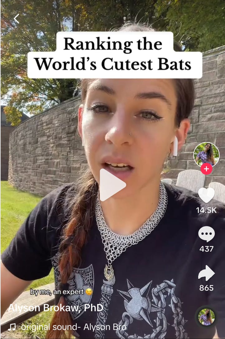 Ranking the world's cutest bats