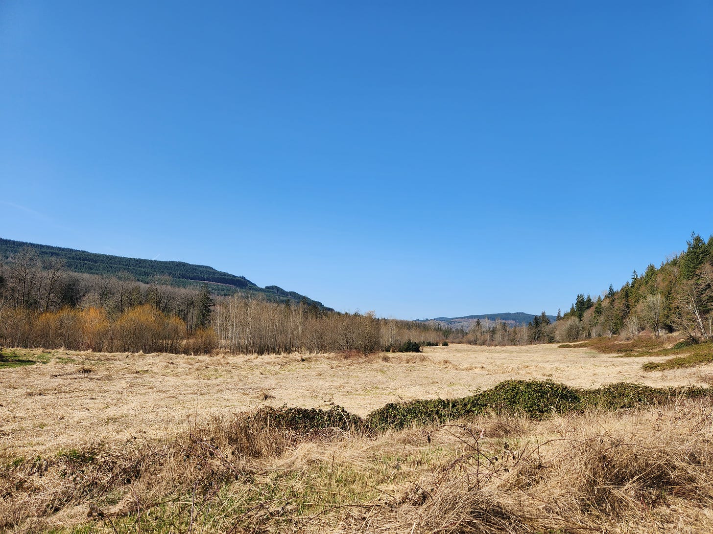 lowland (mostly brown) foothills (mostly green)