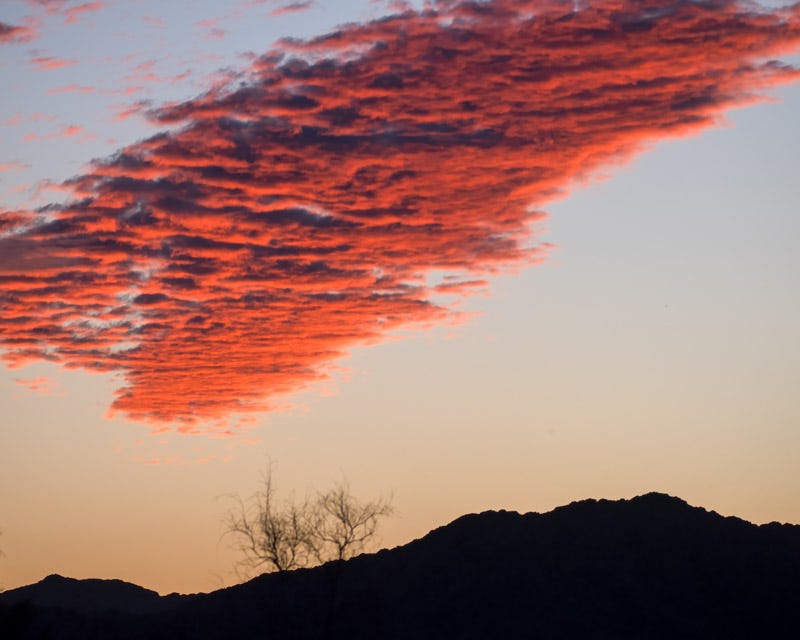 20240218-Yuma-741-Edit.jpg