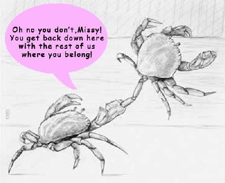 The Crabs in a Bucket Mentality (And How to Escape) | LifeMathMoney