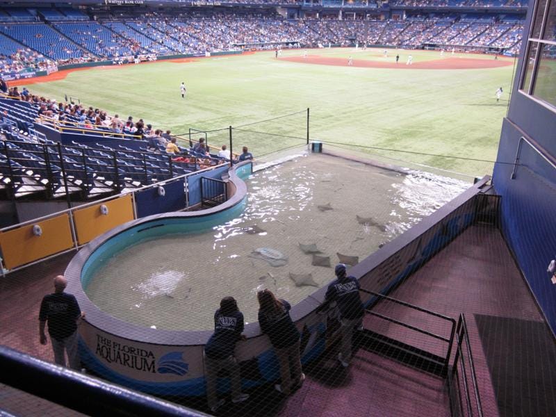 The Tampa Bay Rays Ballpark: Tropicana Field