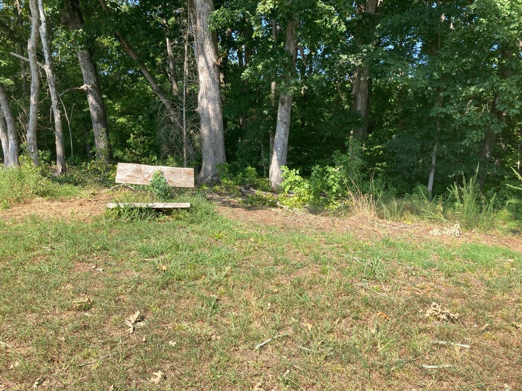 empty wooden bench between grass and woods