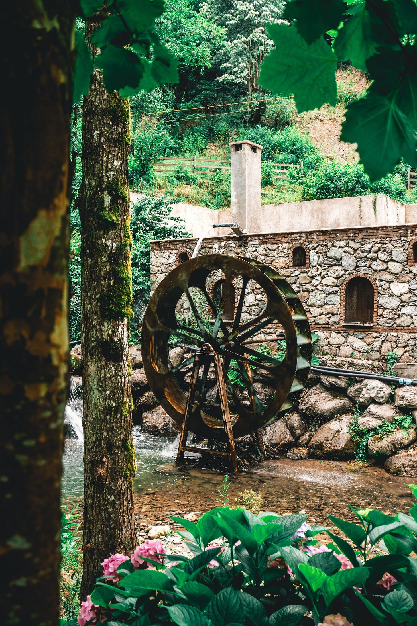 Photo of waterwheel by Ali Arapoğlu from Pexels