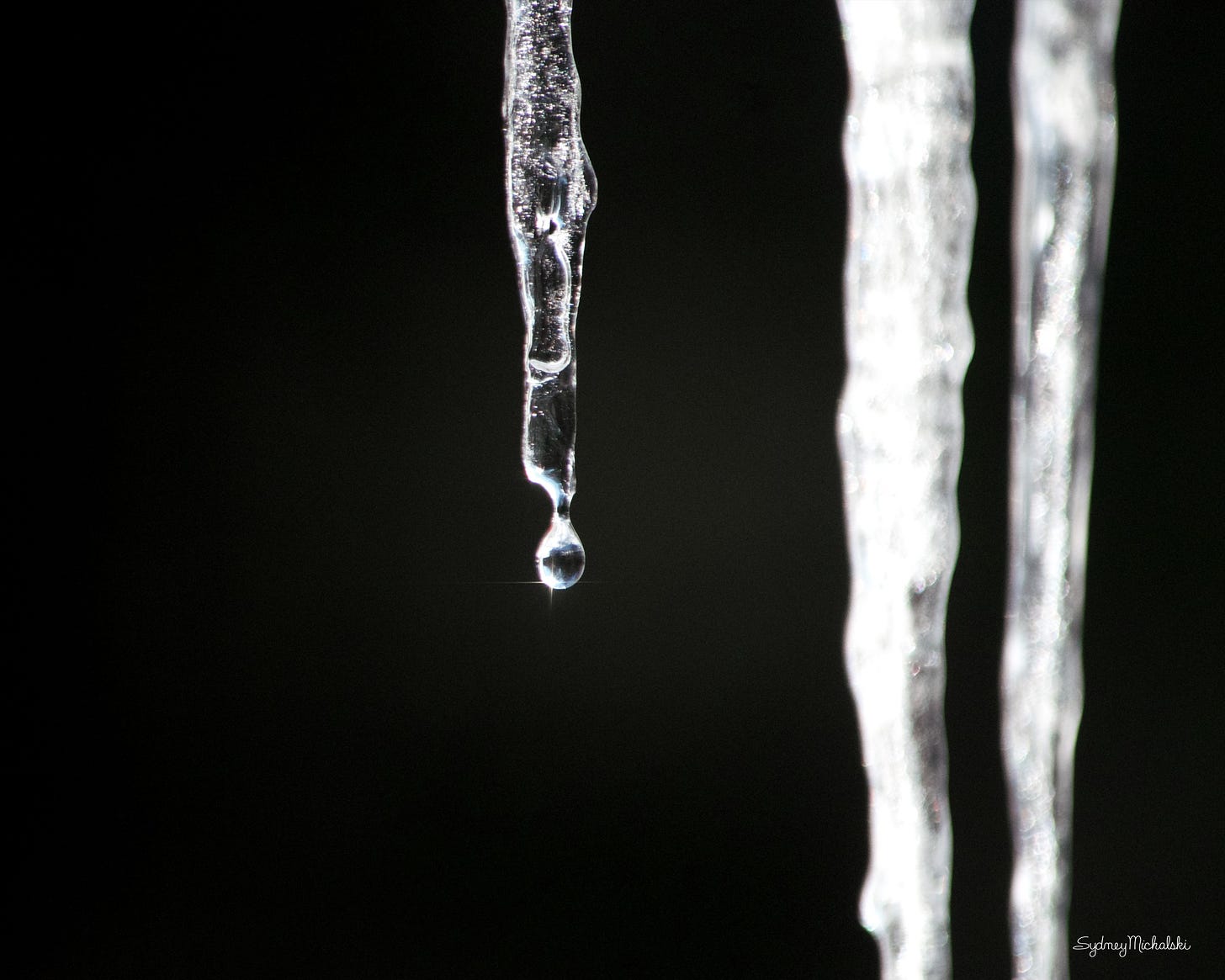 A single droplet sparkles on the end of an icicle.