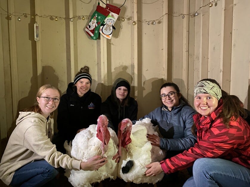 Purdue students (from left) Ashlynn Smith, Jenna Boewe, Serena Wesley, Lisa Escobar-Torres, Annye Troyer, pose with Peanut Butter and Jelly at Purdue University.