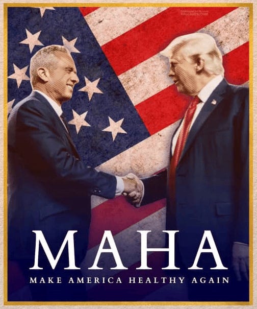 Two men shaking hands in front of a flag

Description automatically generated