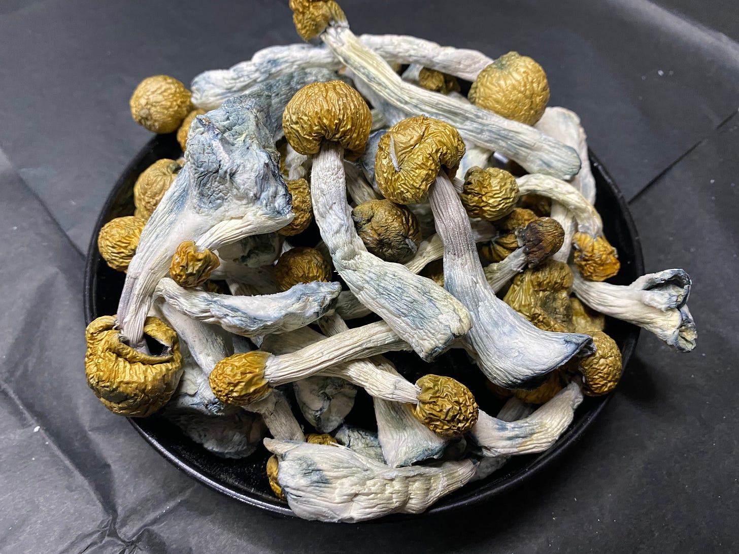 QuadCityTO Mushrooms Co. FollowTheGreenParrot.ca QuadCityTO Mushrooms Co. FollowTheGreenParrot.ca
