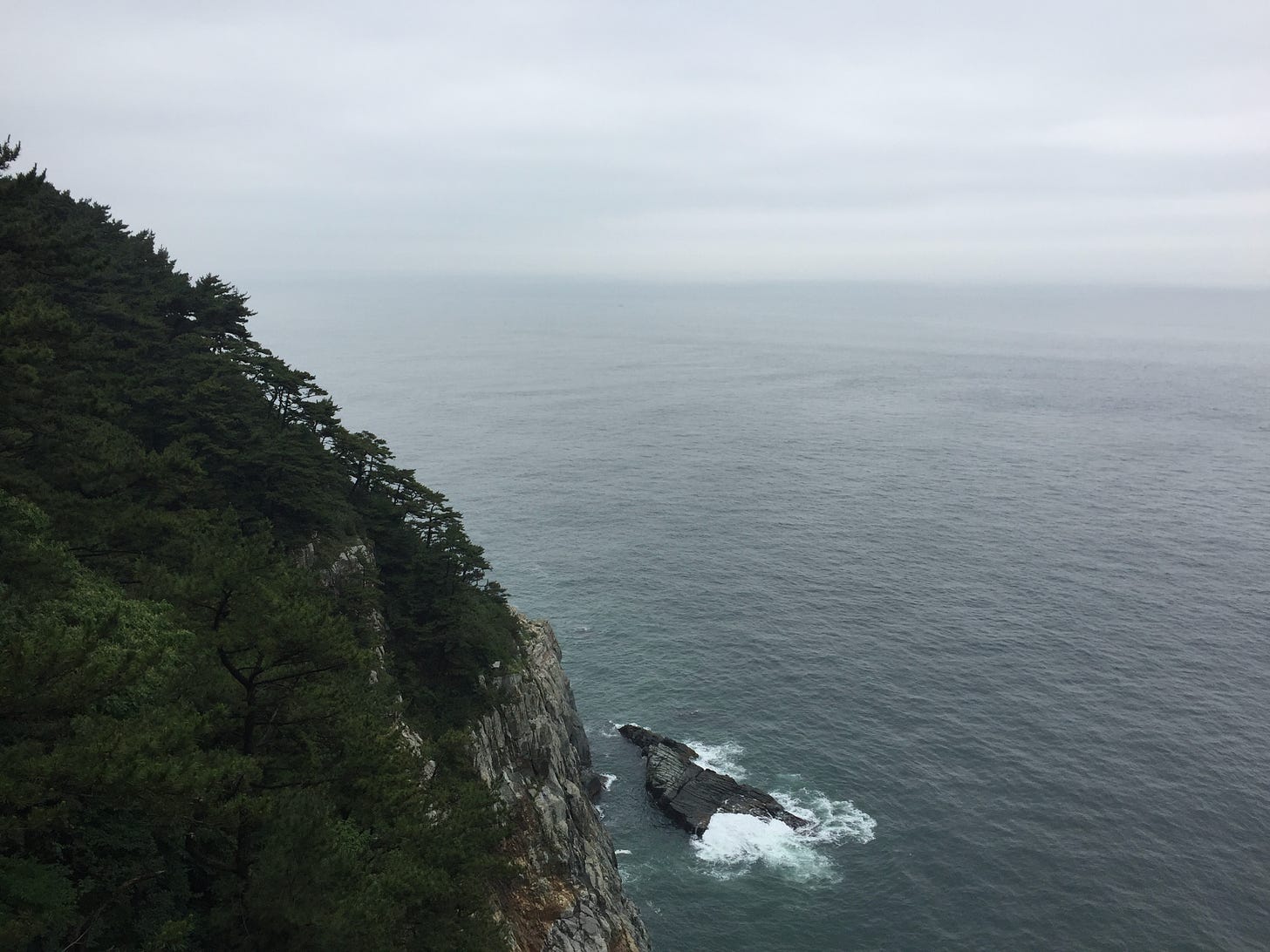 Photo of cliff overlooking ocean on foggy day