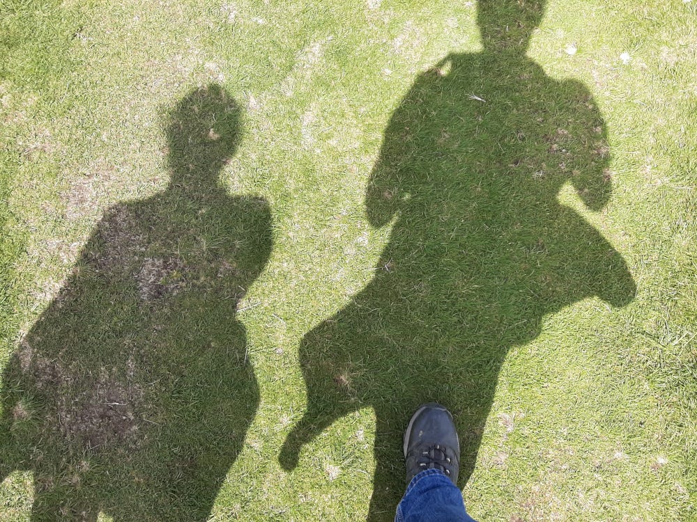 Shadows on grass of two people walking