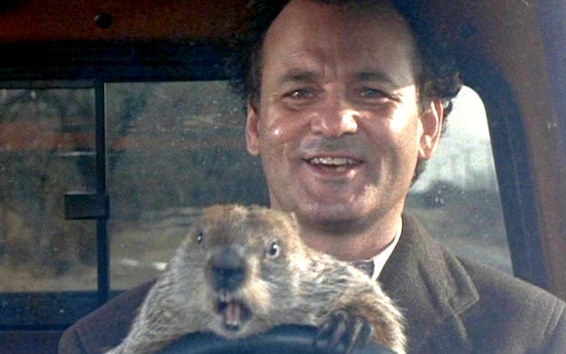 8 Life Lessons 'Groundhog Day' Imparts Over & Over Again